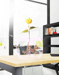 flowers flying GIF by VALERIS