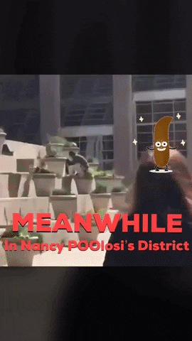 kimmerzbinband san francisco nancy pelosi poolosi san poopfrisco GIF