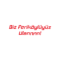 Feriköy Futbol Akademisi Sticker by ferikoyspor