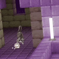 SingNO2 komaru minecraft cat GIF