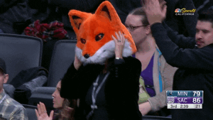 de'aaron  fox GIF by NBA