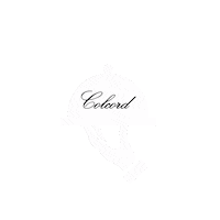 CouryHospitality colcordhotel Sticker