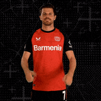 Bayer 04 Love GIF by Bayer 04 Leverkusen