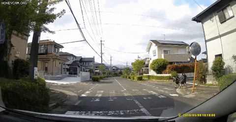 seotor_7 giphyupload GIF