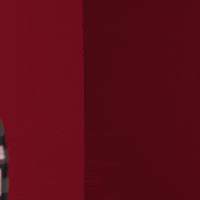 Womens Soccer Go Cards GIF by Louisville Cardinals