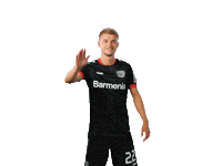 Bayer 04 Werkself Sticker by Bayer 04 Leverkusen