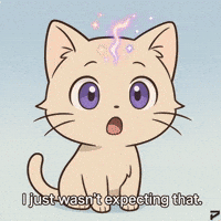 Shocked Wait What GIF by Persona