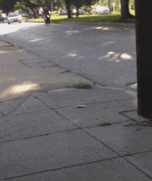 woop GIF