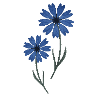 Floral Sticker by Severo