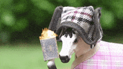 skintdressagedaddy fire book horse reading GIF