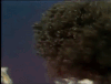 soul train bet GIF