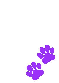 Paws Veterinaria Sticker