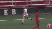St Johns Hugs GIF by St. John's Red Storm