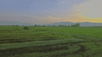 milk street thailand GIF by Christopher Kimball's Milk Street