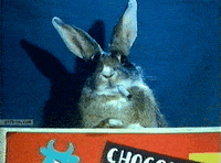 bunny smoking GIF