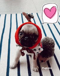 I Love You Valentine GIF