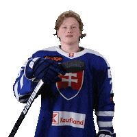 tiposshl sport hockey hokej shl Sticker