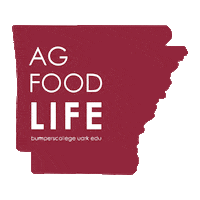Arkansas Razorbacks Food Sticker by BumpersCollege