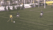 bundesliga burgsmueller GIF by Borussia Dortmund