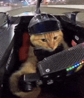 Formula 1 F1 GIF