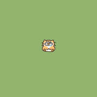 Cat Penguin GIF