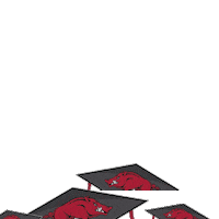 Arkansas Razorbacks Graduation Sticker by Arkansas Alumni Association