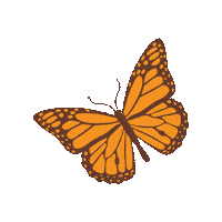Keelings-Fruits family flowers fruit butterfly Sticker