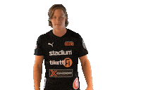 Floorball Salibandy Sticker by F-liiga