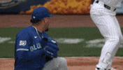 Blue Jays Baseball GIF by Toronto Blue Jays