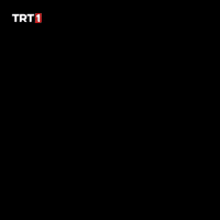 War Reaction GIF by TRT