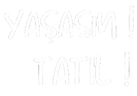 Sumktn Okul Sticker