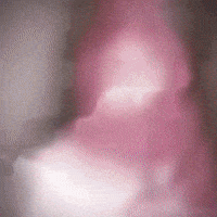 Jennie Kim GIF