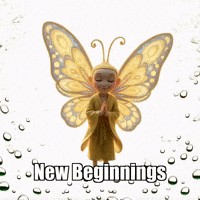 Butterfly Leaf GIF by BuddhaFlyJourney