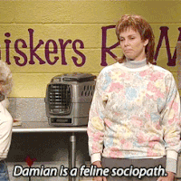 kate mckinnon snl GIF by Saturday Night Live