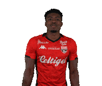 Ligue 2 Football Sticker by EA Guingamp