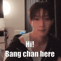 Stray Kids Skz GIF