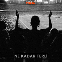 Sponsor Tammy GIF by Misli