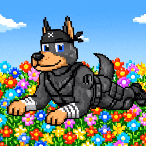 Dog Summer GIF by SkyDog Social