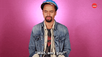 Wait Am I Gay?