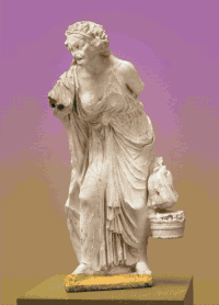 ewanjonesmorris dowager ewanjonesmorris ewan jones morris annameredith GIF