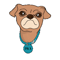 lola imagency Sticker by IMA - Influencer Marketing Agency