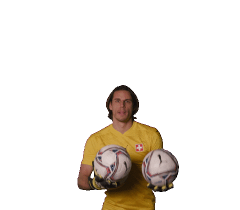 Yann Sommer Switzerland Sticker by Swiss Football Association