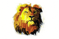 AsukaGruen illustration nature animal analog GIF