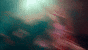 Party GIF by Xavi