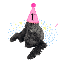 Space Invader Dog Sticker by Club Space Miami