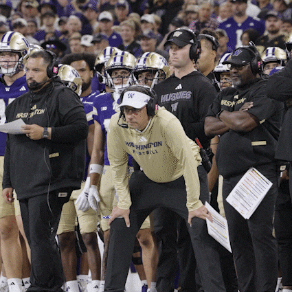 Bow Down University Of Washington GIF by Washington Athletics