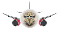 Airplane Takeoff Sticker by Rossiya Airlines