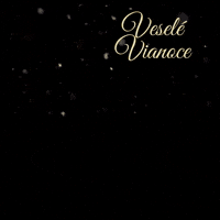 Merry Christmas Love GIF by adridreal