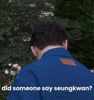 Vernon 세븐틴 GIF