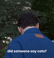 Seventeen Vernon Cats GIF